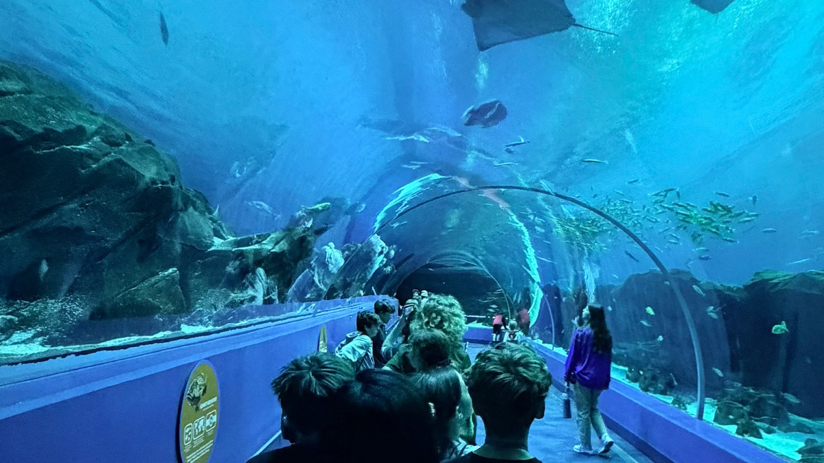 Atlanta Educational Student Travel