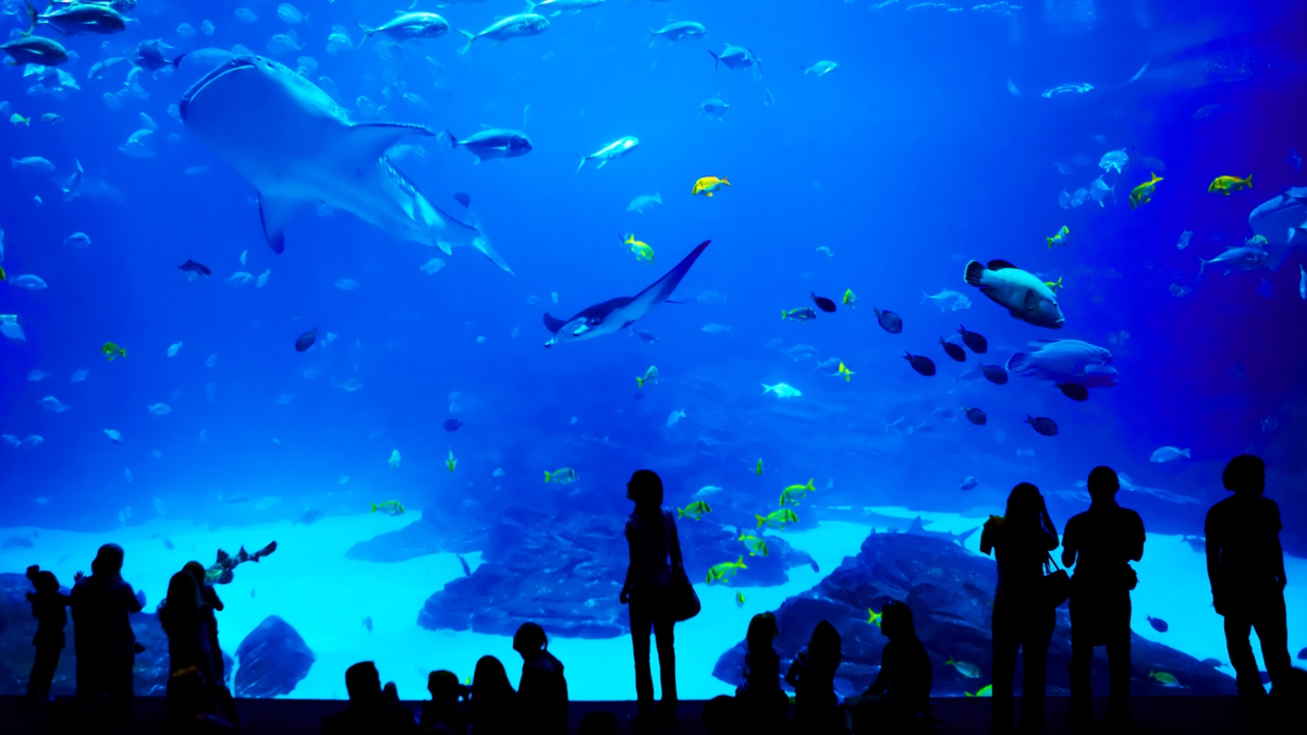 Atlanta Educational Student Travel