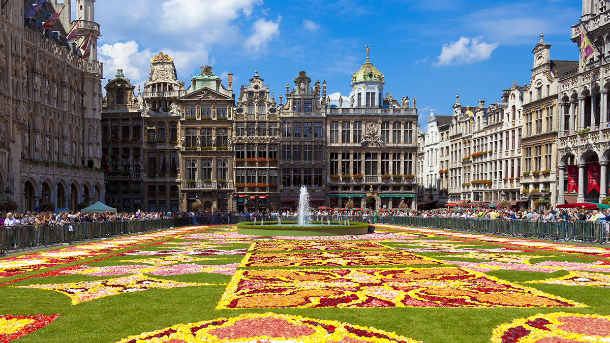 Educational history trips for students to Belgium