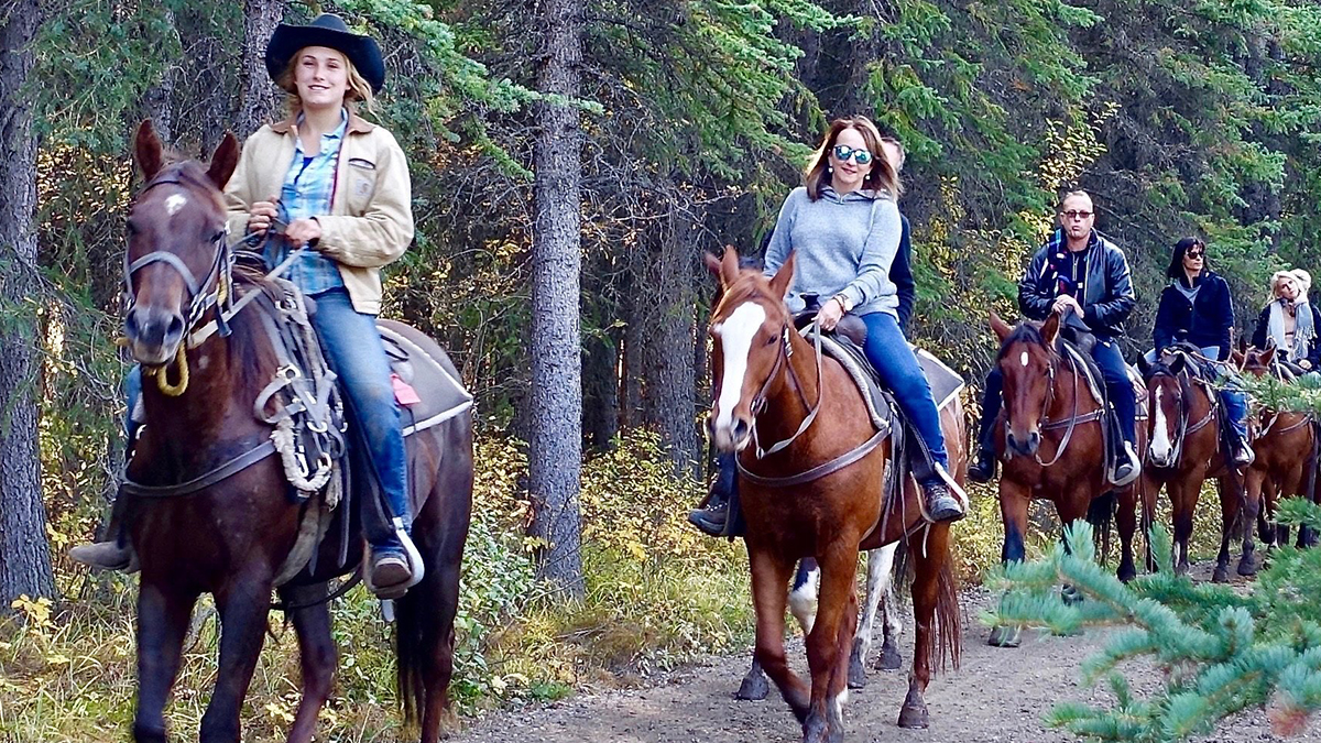 Educational natural wonders trips for students to Washington State