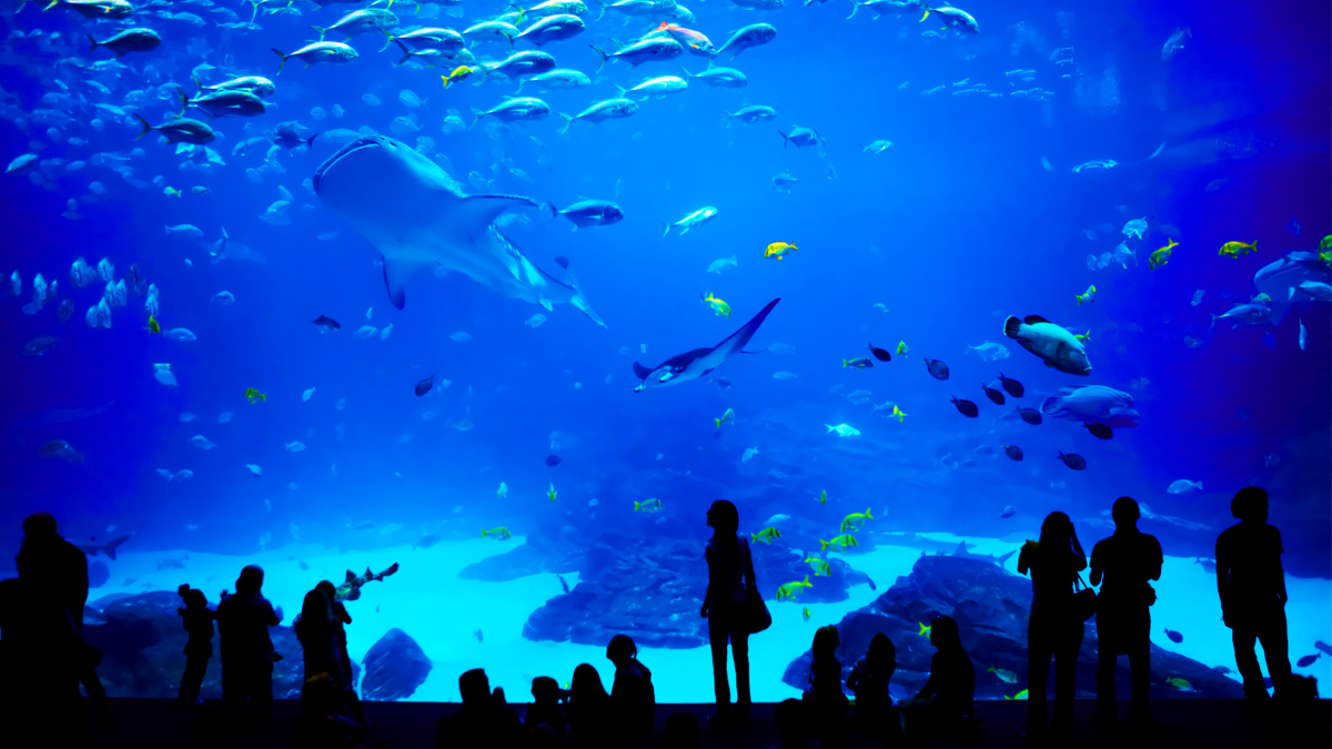 Educational STEM trips for students to Atlanta